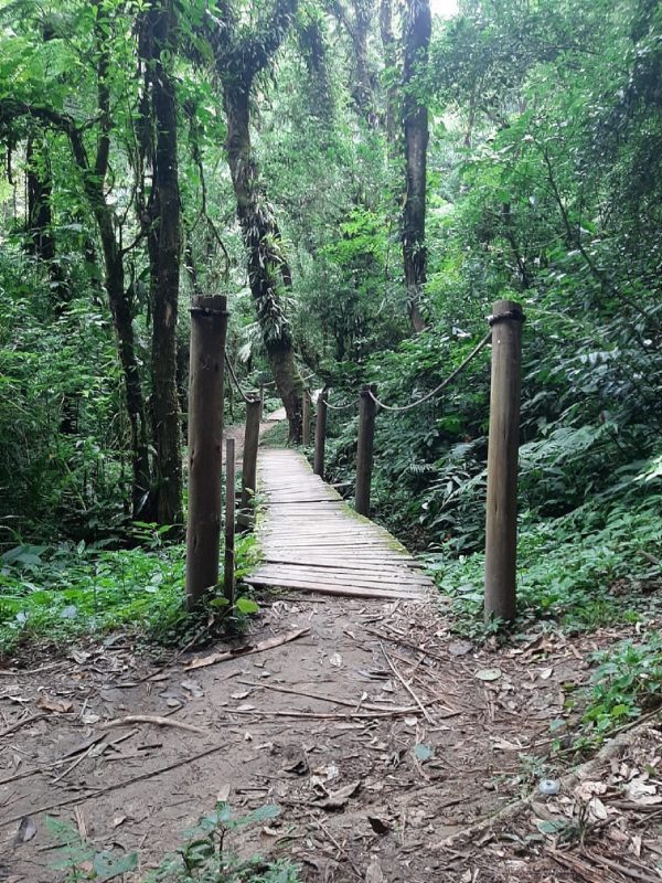 Trilha da Cachoeira Véu da Noiva