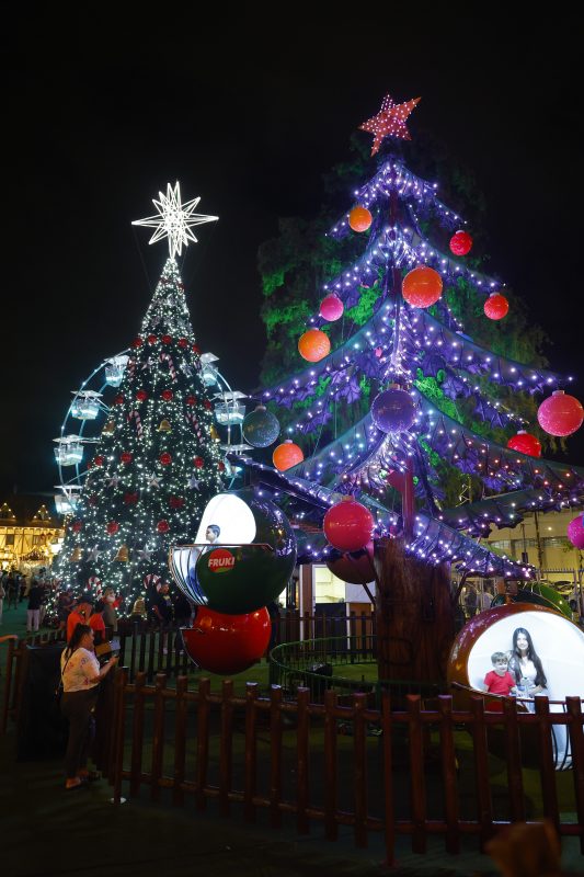 Natal em Blumenau conta com decorações de tirar o fôlego 