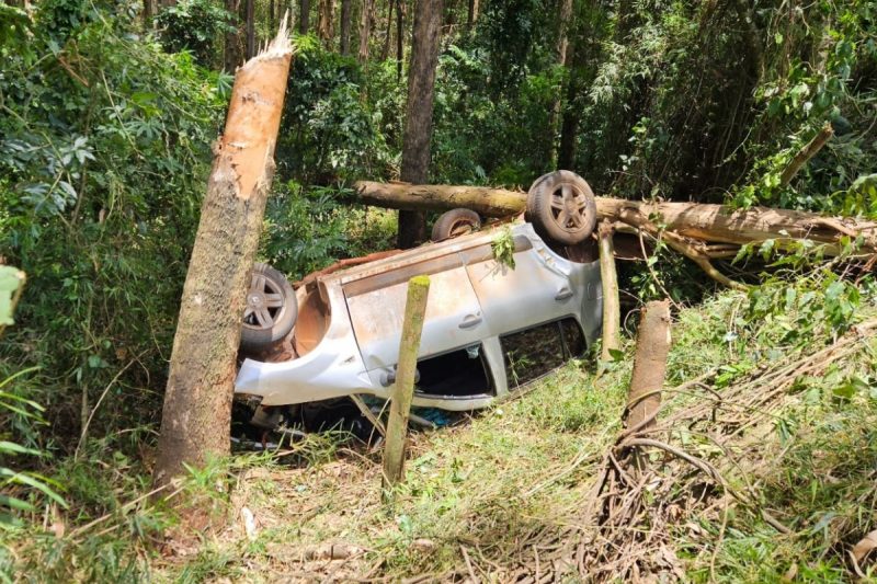 Saiba detalhes do capotamento, saída de pista e batida em árvore em rodovia de SC