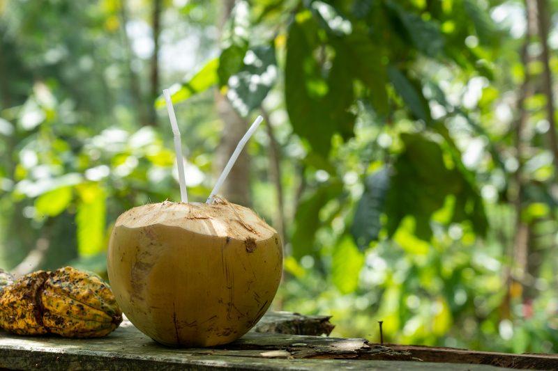 Água de coco ainda na casca 