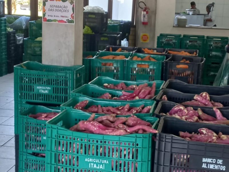 Na foto, caixas de plástico com batata-doce. Fazem parte do programa que combate à insegurança alimentar em Itajaí 