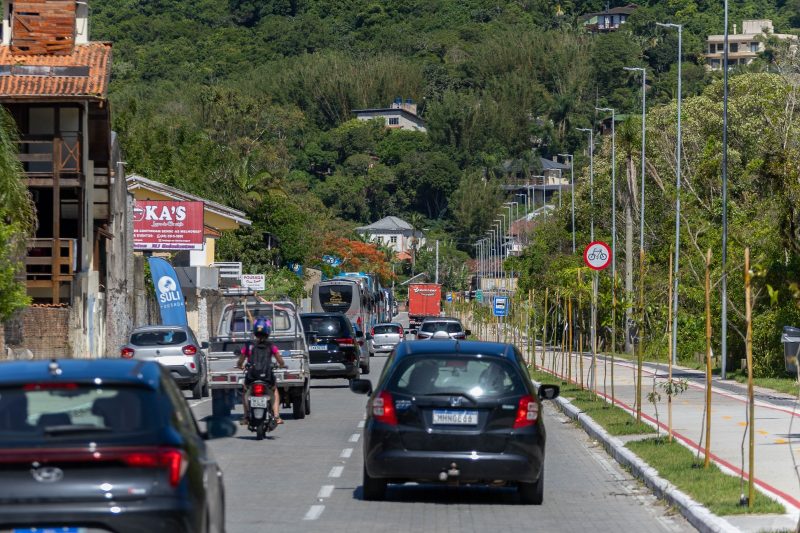 Binário da lagoa da Conceição completa um ano