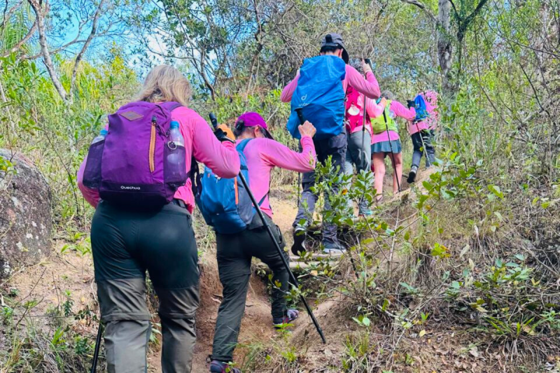 Seis mulheres sobem uma trilha de chão batido em um morro em meio à árvores. Elas aparecem de costas. Todas usam blusa de manga longa cor de rosa, mochilas nas costas e bastão de caminhada nas mãos. 