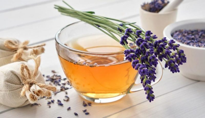 Lavanda, chá que ajuda a dormir é fácil de fazer 