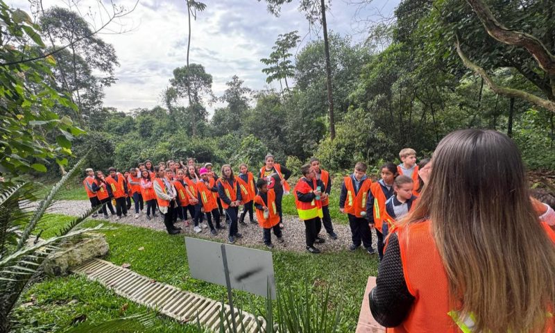 Parque de Joinville é opção gratuita nas férias escolares