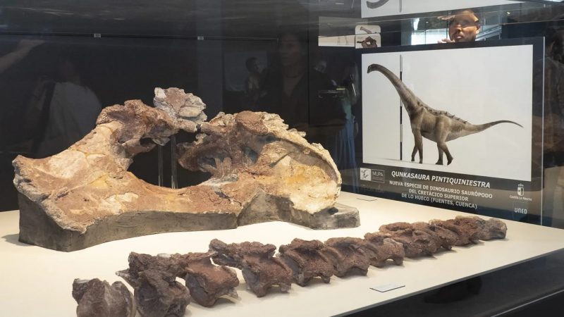 Nova espécie de dinossauro de pescoço longo e que viveu há 75 milhões de anos é encontrado