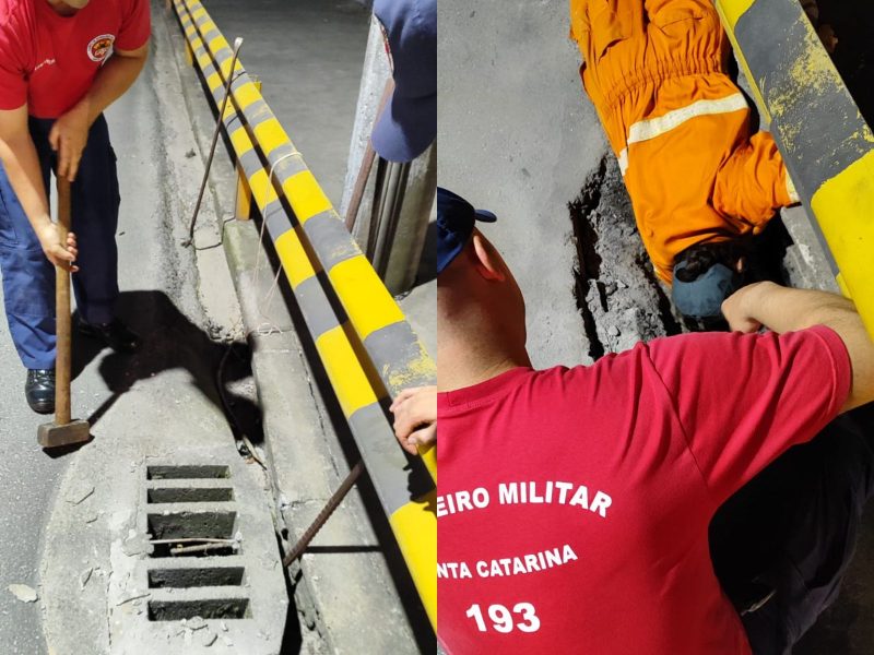 A imagem mostra os bombeiros retirando o filhote de gato do bueiro.