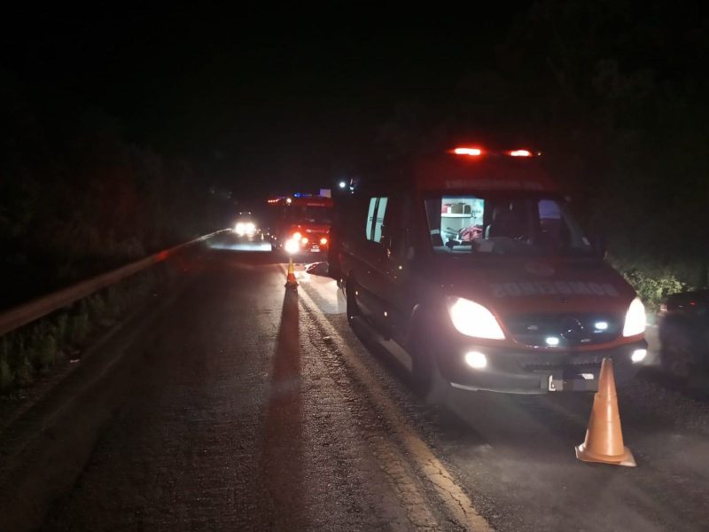 A imagem mostra o local do acidente na BR-282 onde motociclista morreu