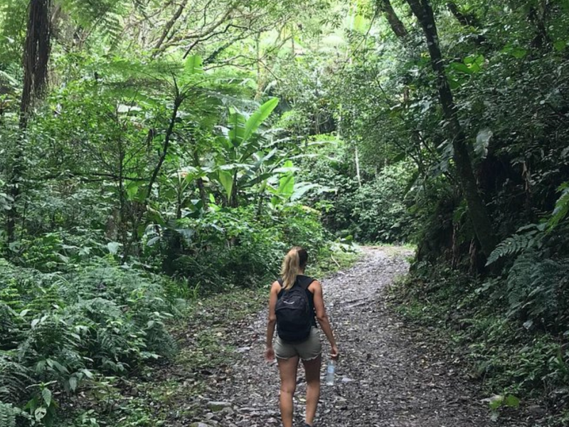 Alta temporada atrai turistas para SC e riscos de acidentes em áreas de mata e cachoeiras aumentam nesse período