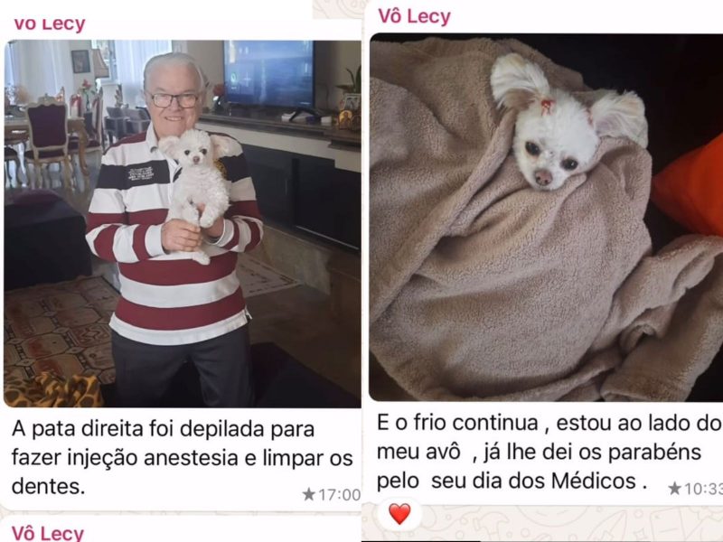 A imagem mostra as imagens da cachorra com o avô.