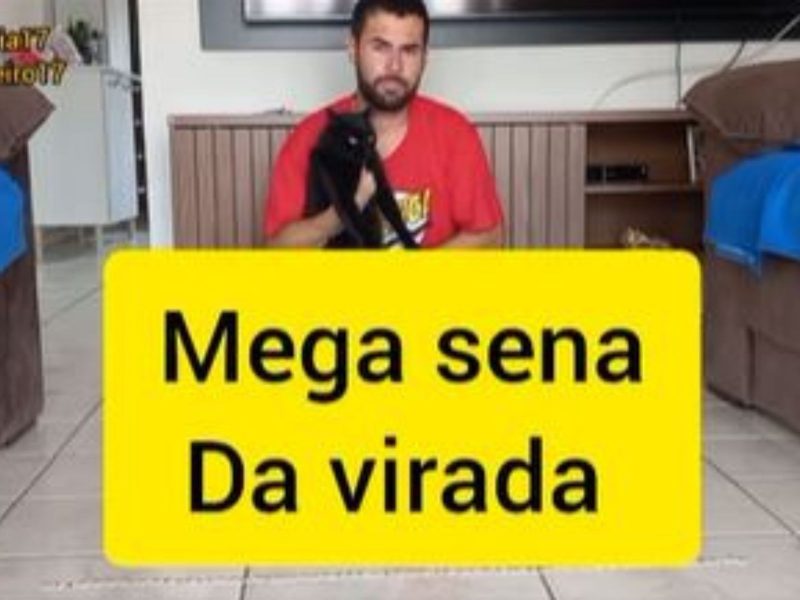 A imagem mostra o famoso gato vidente prestes a fazer a previsão especial para os números da Mega da Virada 2024