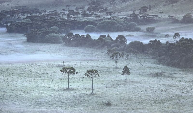 Visual exuberante tomou conta de São Joaquim em pleno verão 