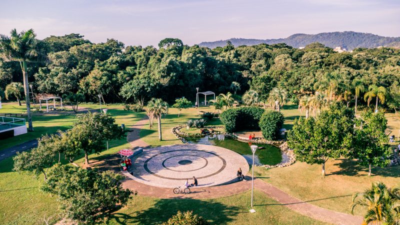 Foto aérea do bosque verde, com ampla área gramada, várias árvores ao redor, um lago e pista de caminhada. Algumas pessoas andam a pé e outras de bicicleta pelo local. O dia está ensolarado. 