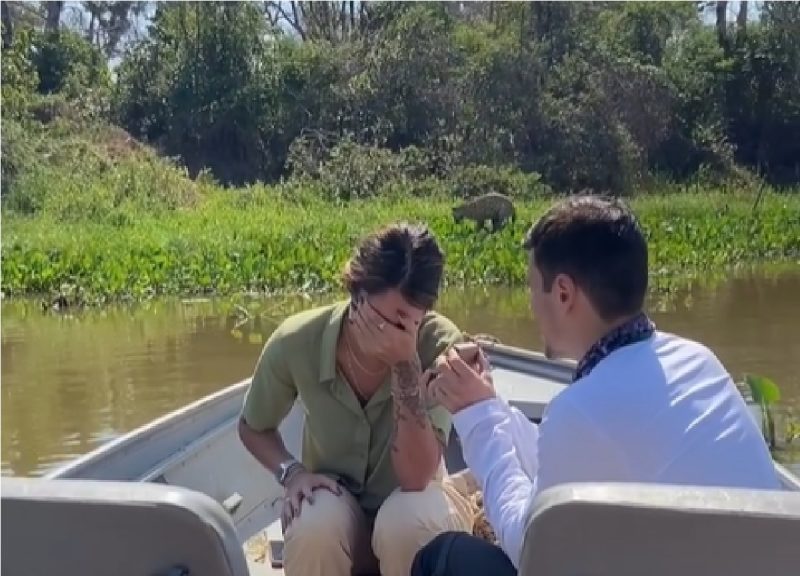 Onça-pintada rouba a cena em pedido de casamento no Pantanal 