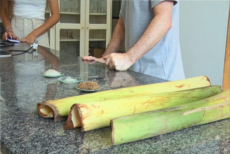 Produto que ajuda a recuperar vegetação é desenvolvido a base de casas de palmito 