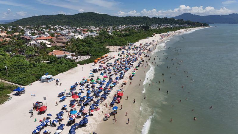 Foto aérea da Praia de Jurerê Internacional. Do lado direito o mar. Do lado esquerdo, a areia branca com várias cadeiras e guarda-sóis. Atrás dela, áreas de vegetação verde, seguidas por casas e ao fundo morros verdes. 