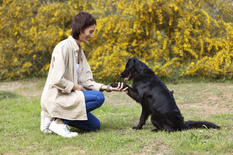 Tutora e cachorro se cumprimentando