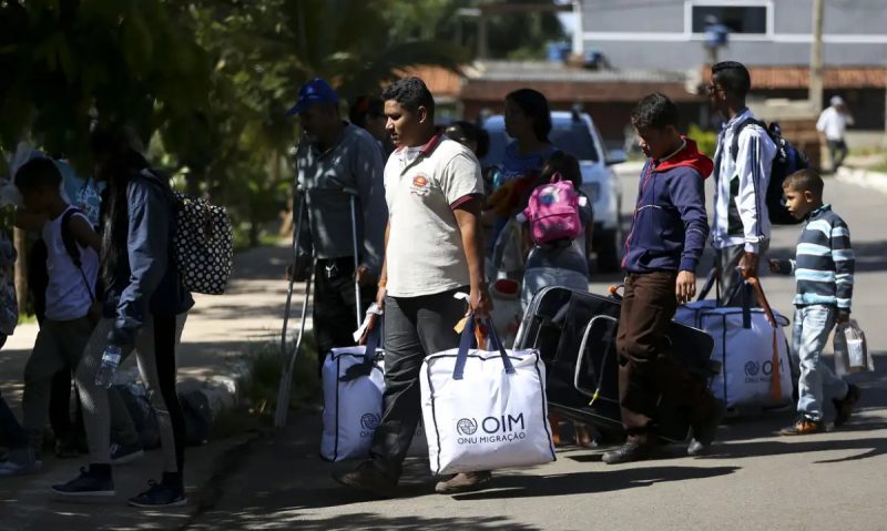 Refúgio no Brasil: quase 200 pedidos são realizados por dia em 2024 