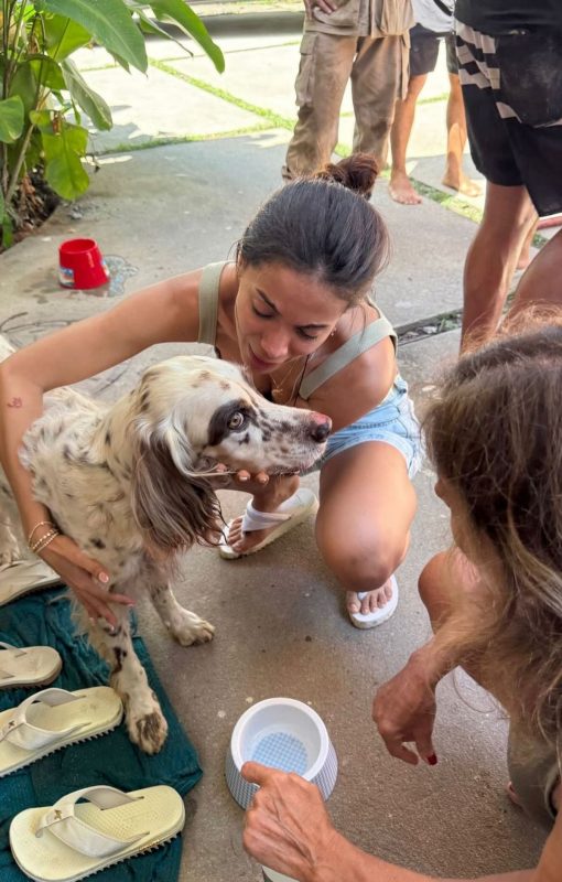 Cachorro de Anitta com a tutora após resgate 