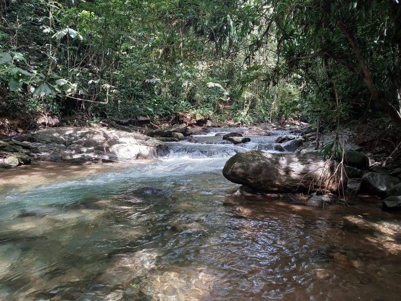 Parque das Nascentes tem diversas opções de trilhas em Blumenau 