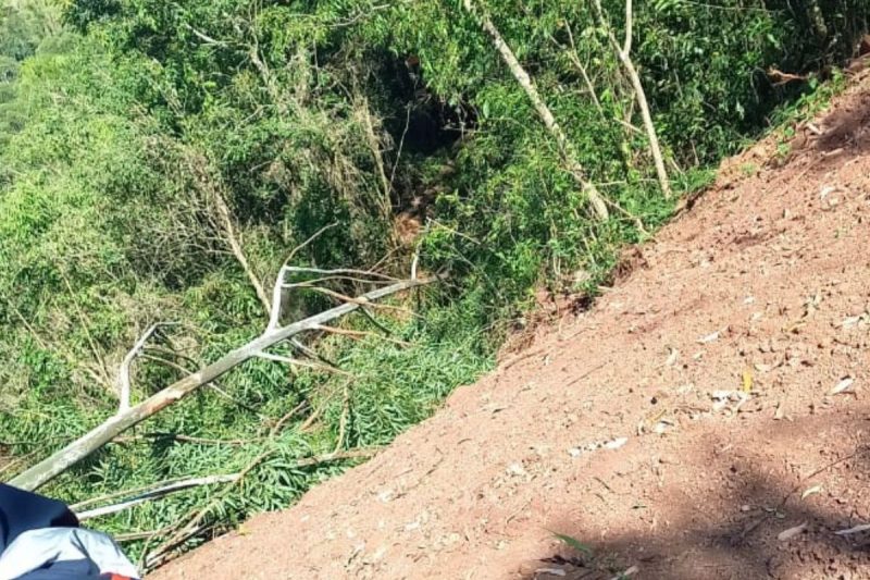 Trabalhador atingido por árvore na cabeça morre no Oeste de SC