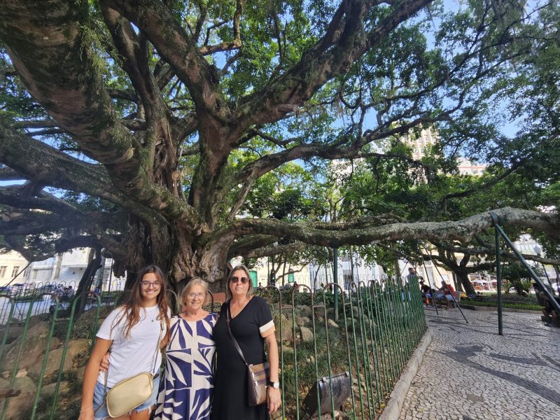 Ana Prietsch (à dir.) foi levada pela amiga Verânia e por Maria Eduarda para ver a figueira de mais de 150 anos - Foto: Valeska Loureiro/ND