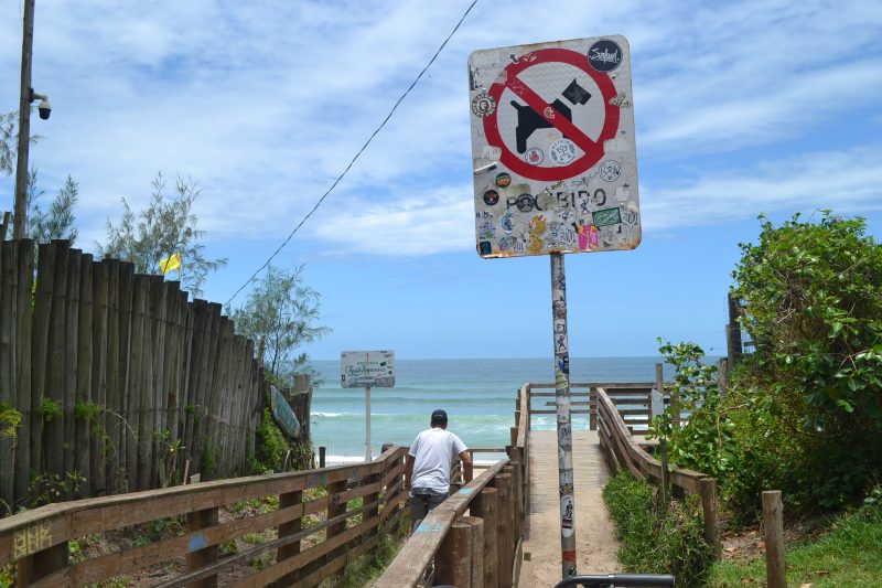 Lei que proíbe animais nas praias em Florianópolis é descumprida