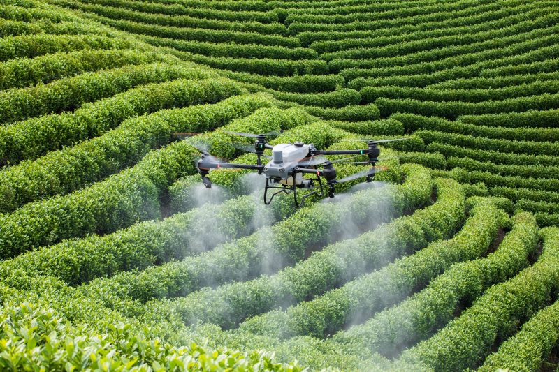 Eficiência a serviço da agricultura: a revolução dos drones de pulverização