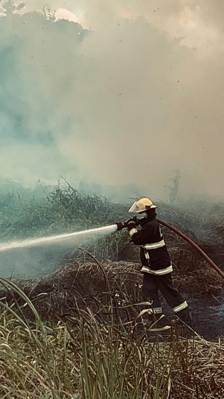 Bombeiro combatendo incêndio em vegetação