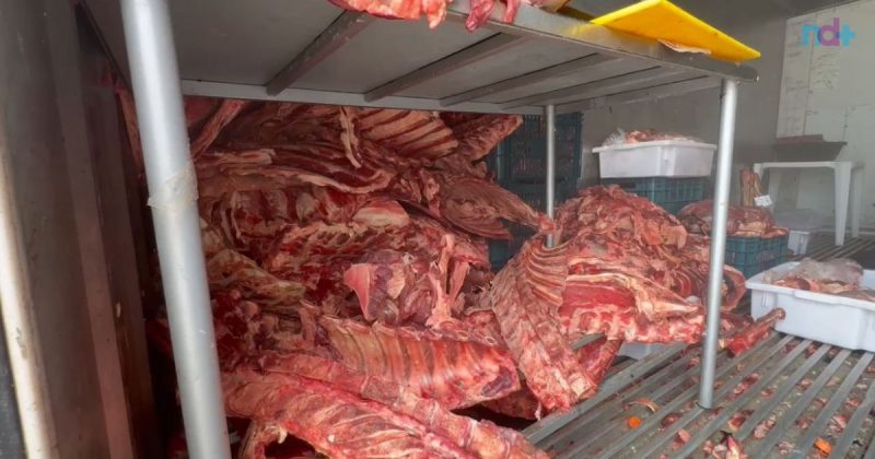 imagem mostra parte das 3 toneladas de carne estragada apreendida em Itajaí