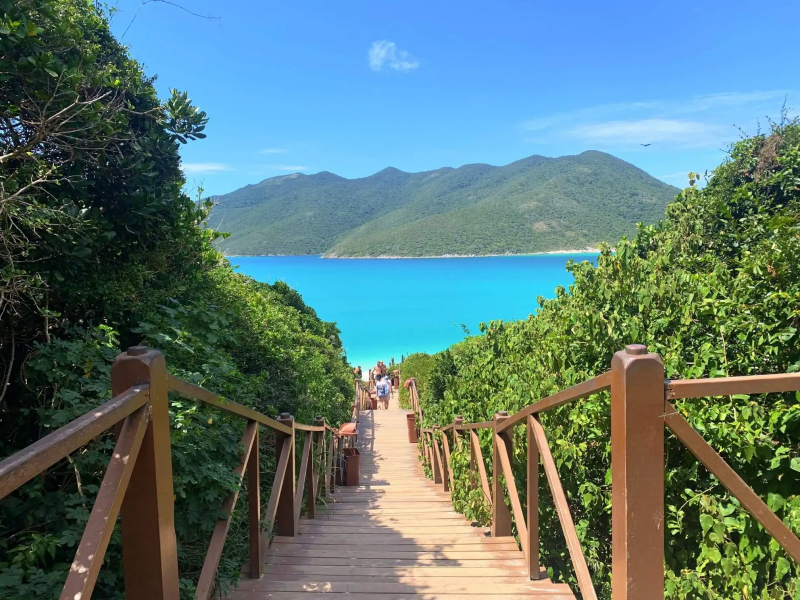 Imagem de uma escadaria em meio a natureza, com o mar cristalino ao fundo