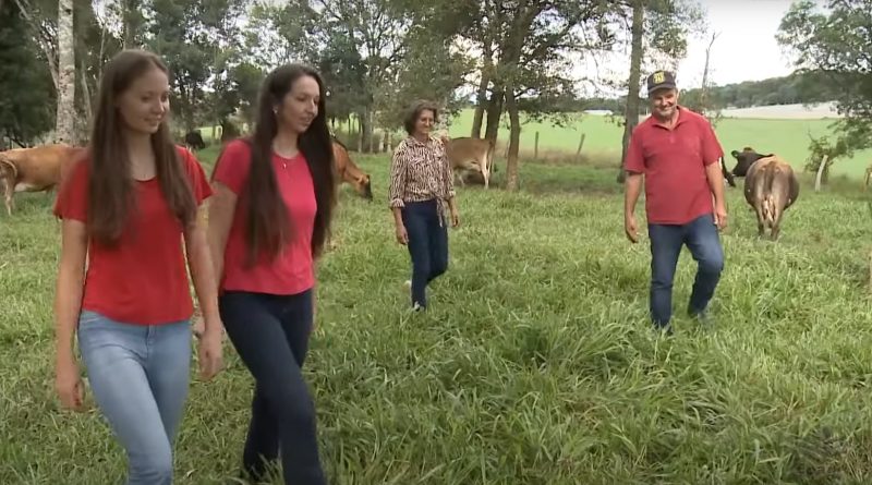 Família recupera área improdutiva há 20 anos em SC