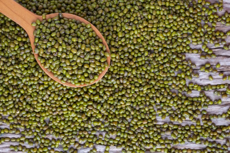 Feijão verde reduz o colesterol 