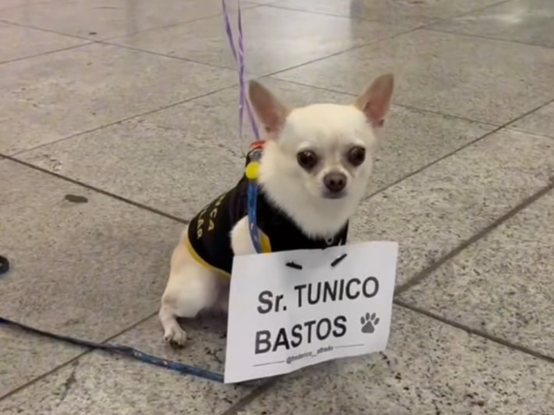 A imagem mostra Frederico Alfredo esperando seu irmão no aeroporto.