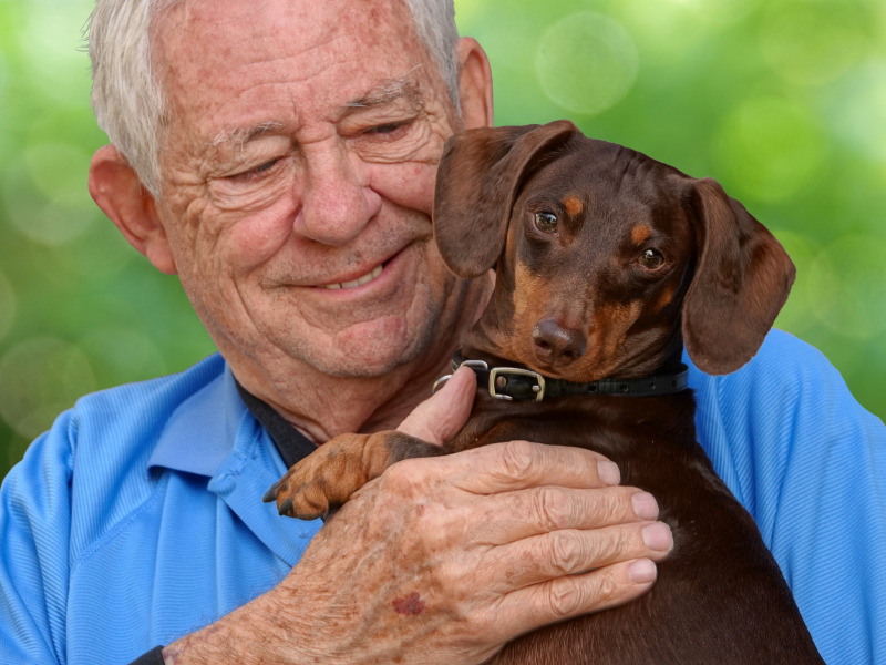 Idoso com um cão, animal que participa da lei do enterro de pets, em Milão.