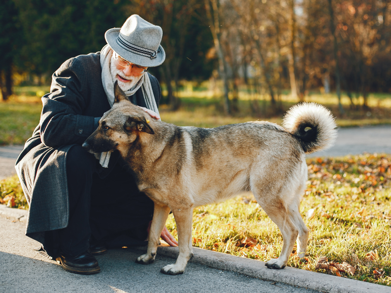 Idoso com um cão.