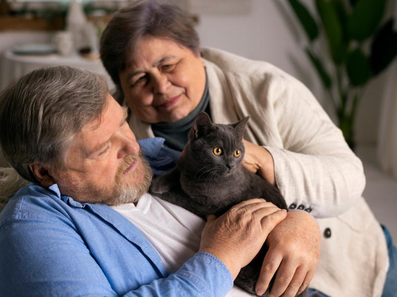 A imagem mostra dois idosos com um gato