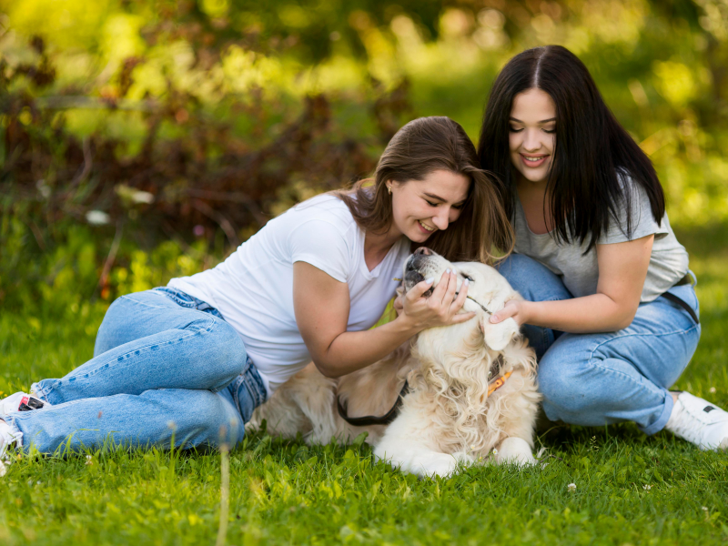 A imagem mostra duas jovens em uma conversa com cães.