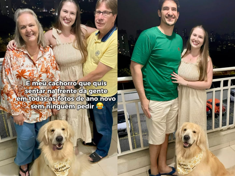 A imagem mostra o golden com sua família.