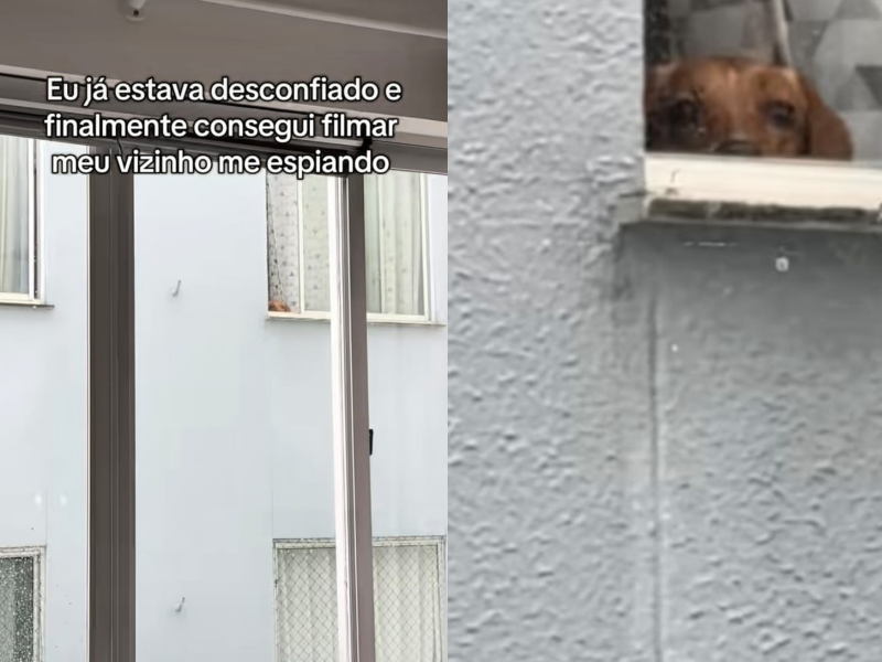 A imagem mostra o cachorro observando o vizinho da janela do apartamento