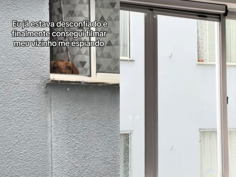 A imagem mostra o cachorro salsicha observando o vizinho da janela