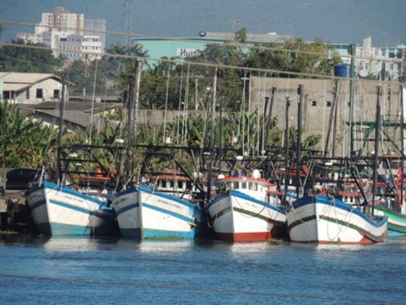 Embarcações de pescadores de Santa Catarina representam cerca de um terço da frota nacional - Foto: Divulgação/ND