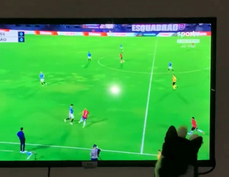 Gatinho 'subiu na TV' para arranha jogador do gauchão