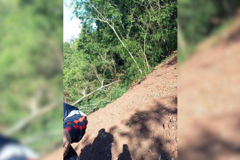 Trabalhador atingido por árvore na cabeça morre no Oeste de SC