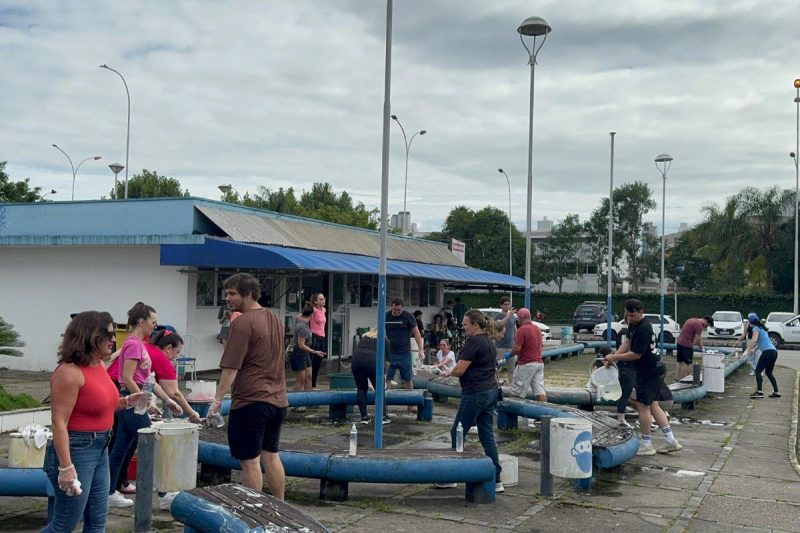 O mutirão no hospital reunião cerca de 200 voluntários em Balneário Camboriú