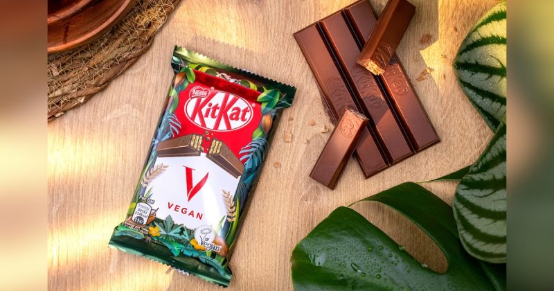 Imagem do KitKat com pacote do KitKat em meio a plantas