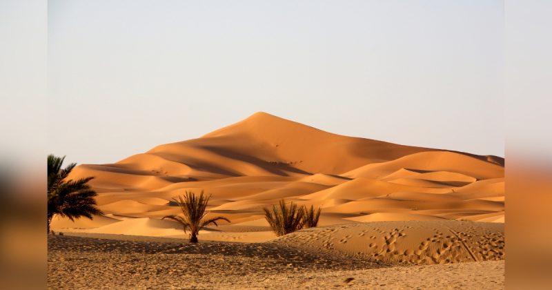 Imagem do deserto do Saara