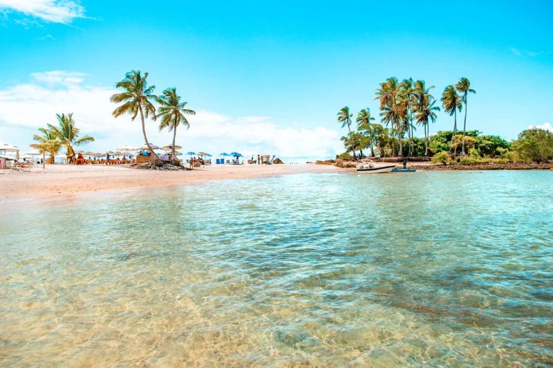 Praia com águas claras e coqueiros ao fundo 