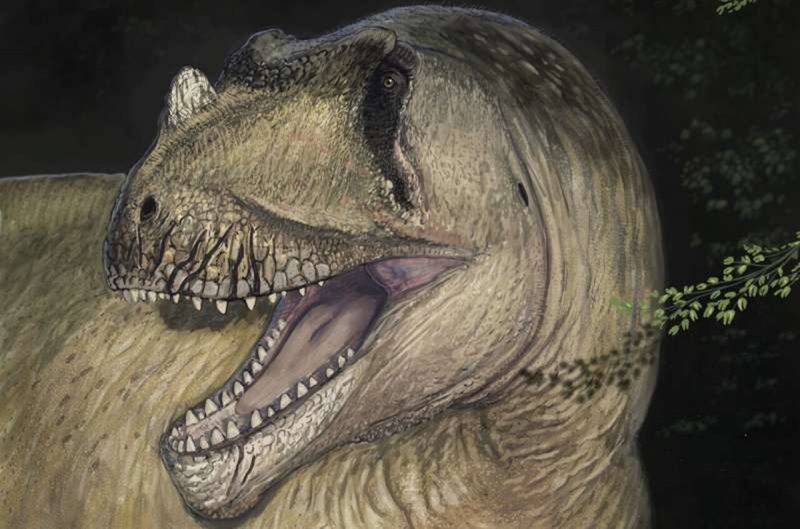 Imagem ilustrativa de como seria a nova espécie de dinossauro descoberta