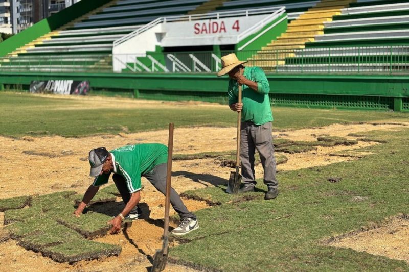 Arena Condá em Chapecó dá início à troca de gramado